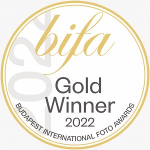 bifa gold winner